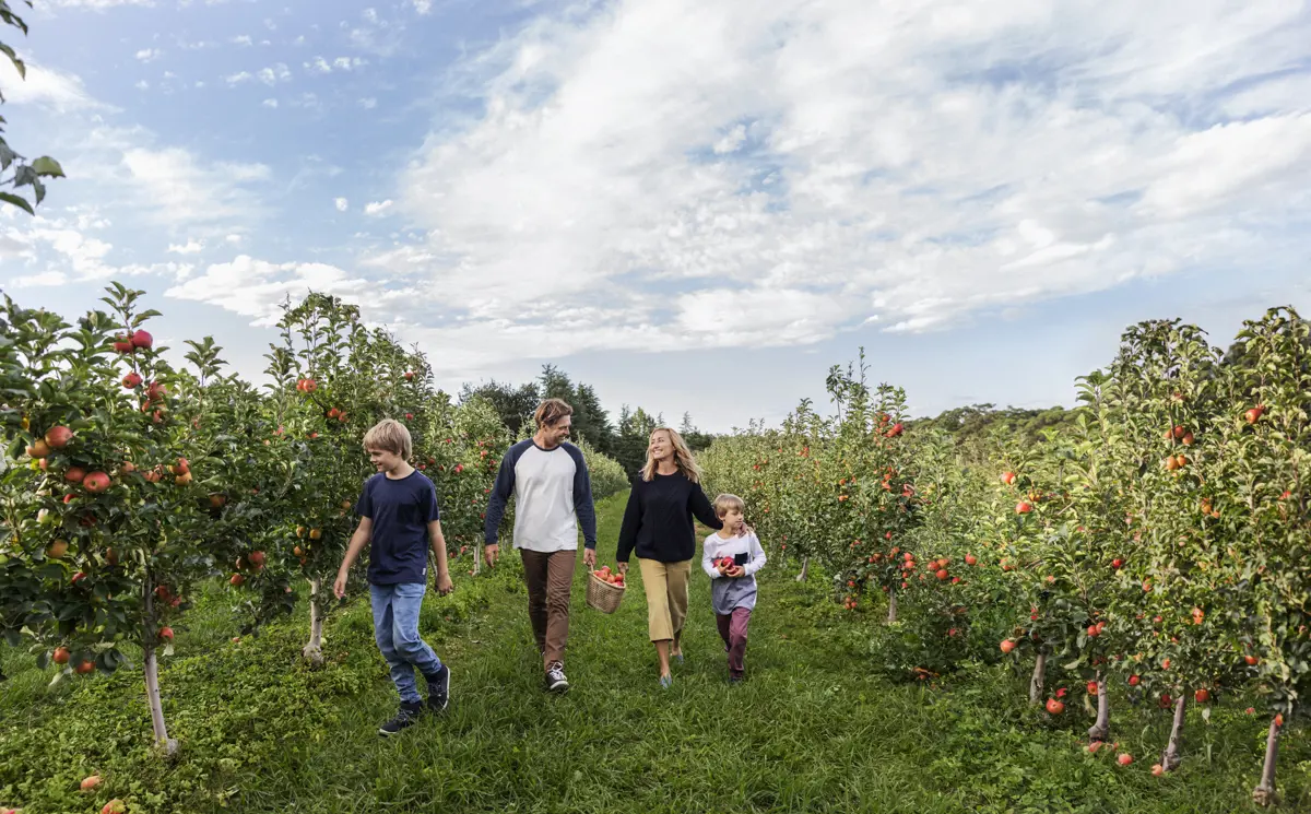 Insert image caption here!