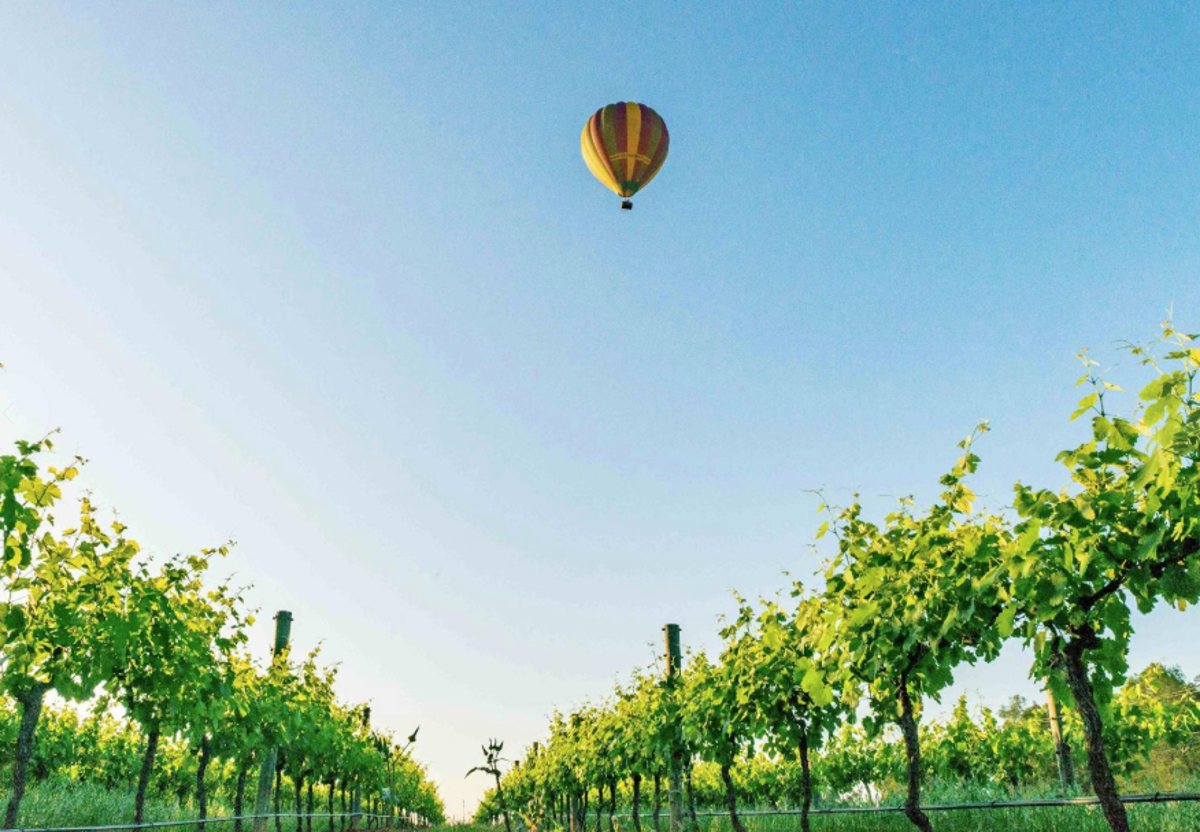 Insert image caption here!